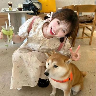 野狗在跳舞
